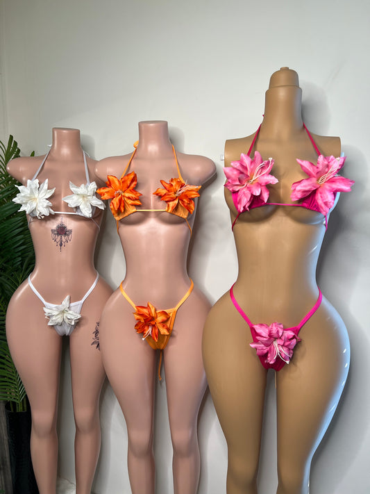 Clippable Bikini’s (Ready to Ship)